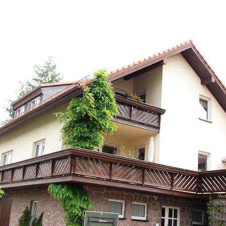 Ferienwohnung Im Dg, Parkplatz Vorm Haus, Wlan Rosenthal-Bielatal المظهر الخارجي الصورة