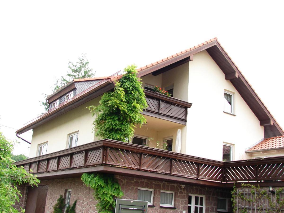 Ferienwohnung Im Dg, Parkplatz Vorm Haus, Wlan Rosenthal-Bielatal المظهر الخارجي الصورة